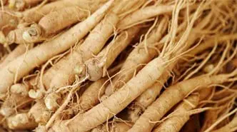  nagano tonic official